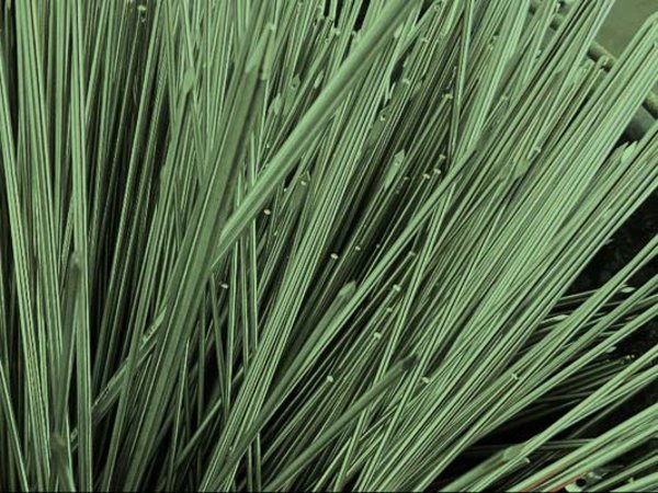 Gebrauchte Nadeln aus der Klinik